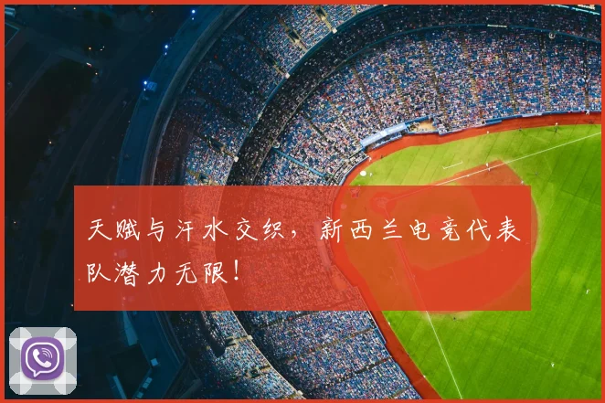 天赋与汗水交织，新西兰电竞代表队潜力无限！