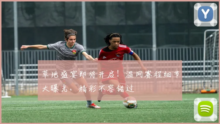 草地盛宴即将开启！温网赛程细节大曝光，精彩不容错过