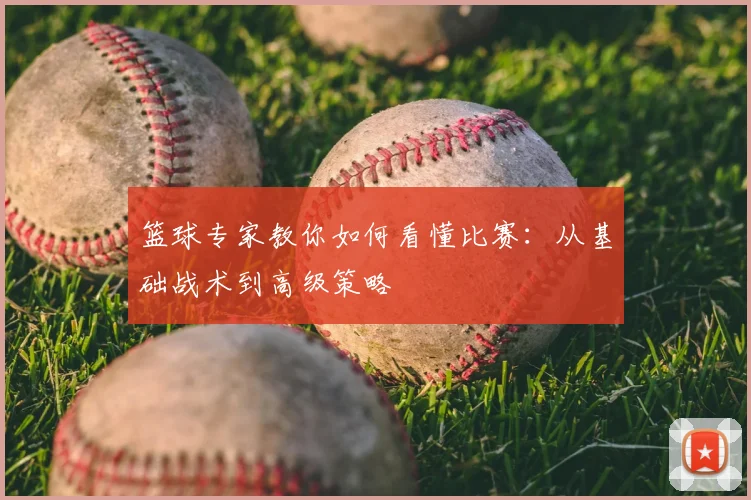 篮球专家教你如何看懂比赛：从基础战术到高级策略