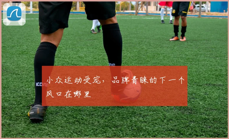 小众运动受宠，品牌青睐的下一个风口在哪里