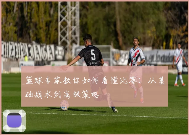 篮球专家教你如何看懂比赛：从基础战术到高级策略