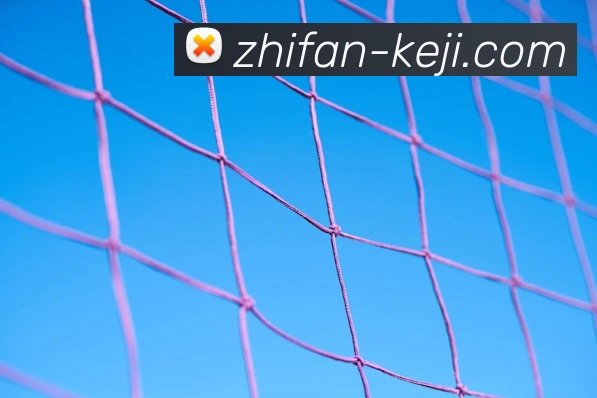 奖项2